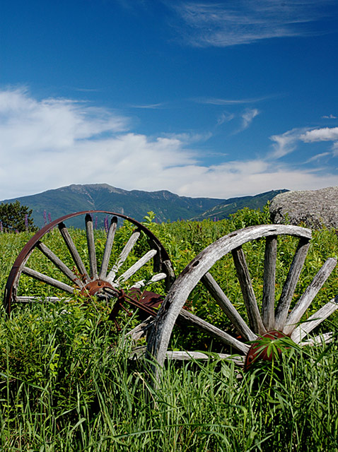 Wagon_Wheels