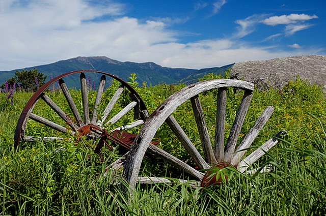Wagon_Wheels ll