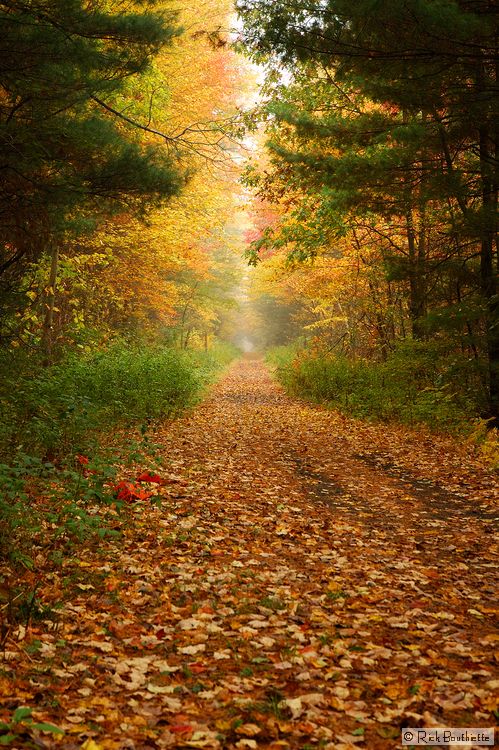 The Straight Trail