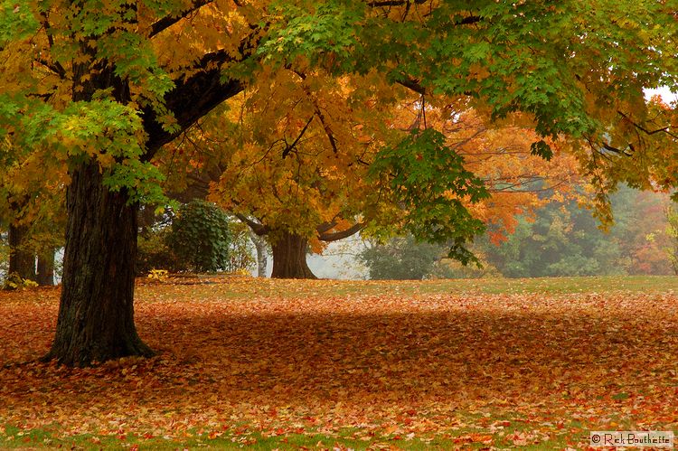 Fall In New Hampshire
