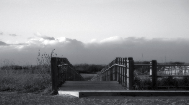Winter Afternoon