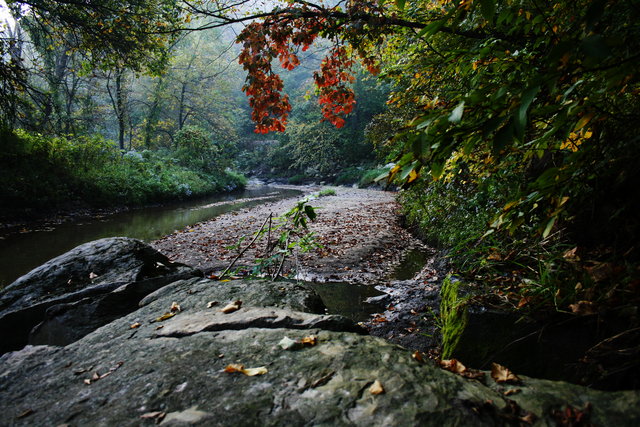 Bear Creek Morning I