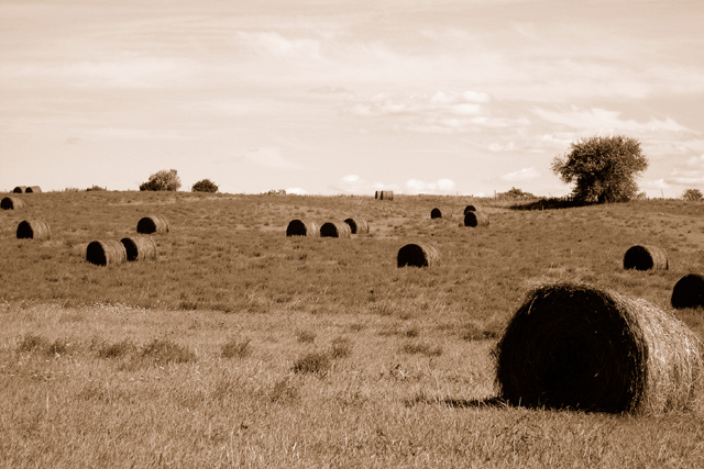 Rolling Countryside II