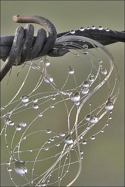 Jewels