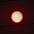 Sun Spots?