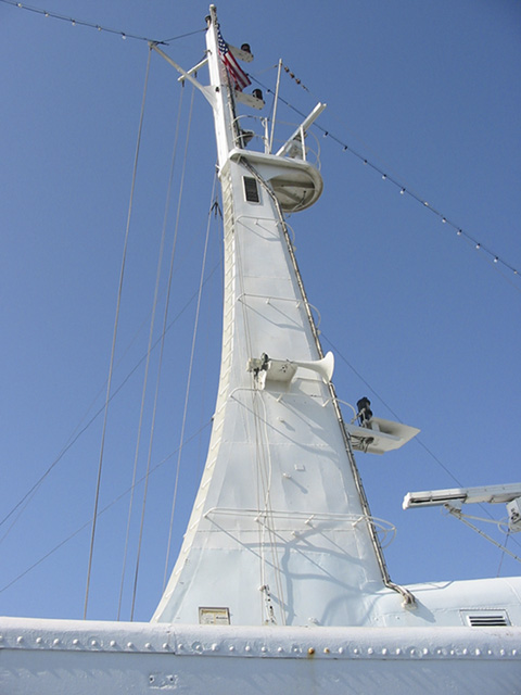 IMG_3438 - No Edit, Step Resize (Bicubic).jpg