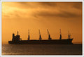 Golden Cargo - San Francisco Bay