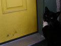 Put That Camera Down and Let Me IN!