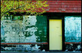 Yellow Door on Ives St.