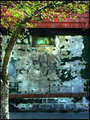 On Ives Street