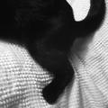 Black and White