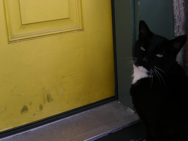 Put That Camera Down and Let Me IN!
