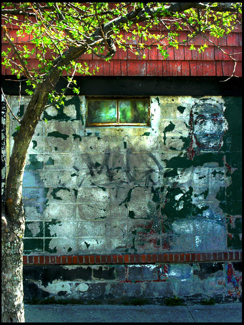 Ives Street Virgin