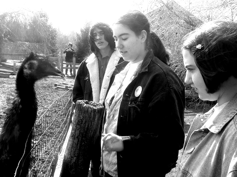 Visiting with an Emu at Fantastic Umbrella Factory , Charlestown, RI