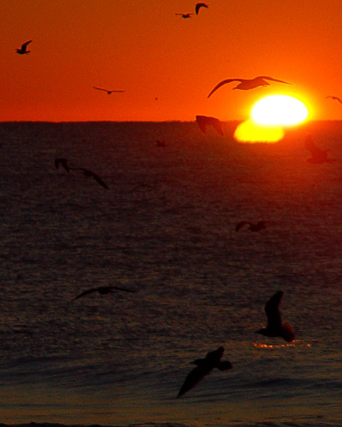 Sunrise IV