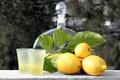 Summertime was made for Lemonciello!
