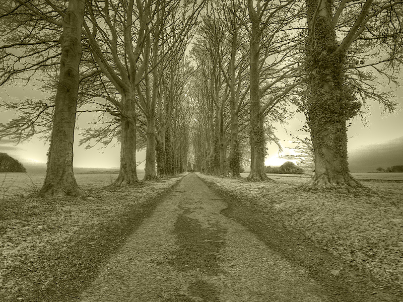 Path to Lombise Cemetary