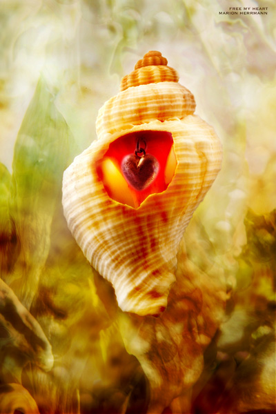 Free my Heart