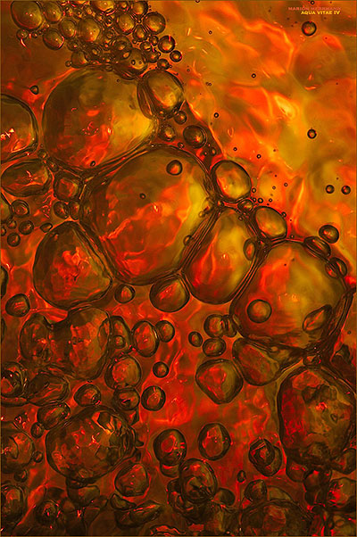 Aqua Vitae IV