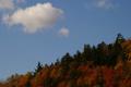 Vermont Sky