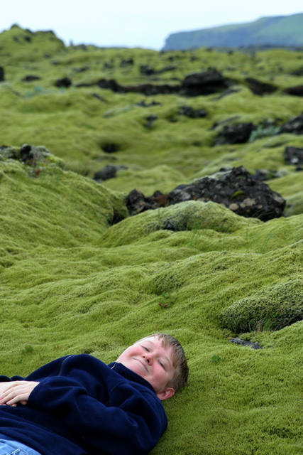 Nature's Matress