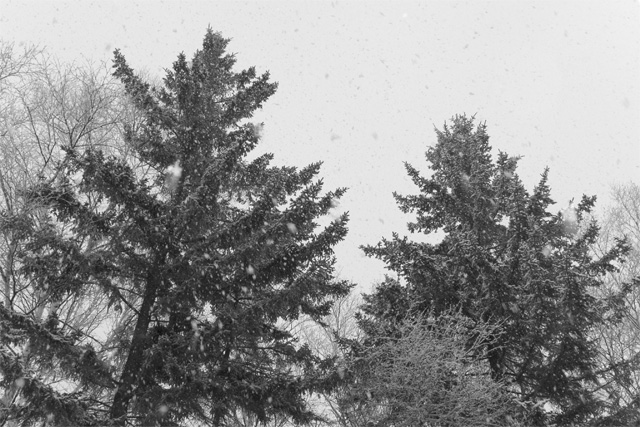 Snowing II