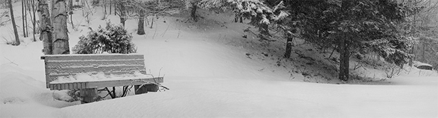 Vermont backyard in March