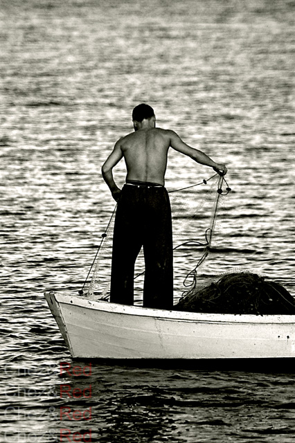 Fisherman bringing in net