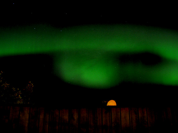 Aurora1