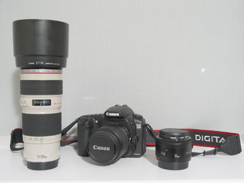 Canon20DwLenses.jpg