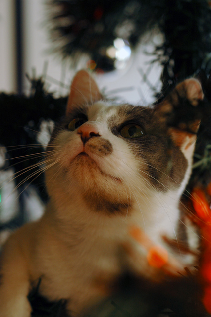 Sense of Wonder