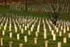 Arlington- Final Rest II