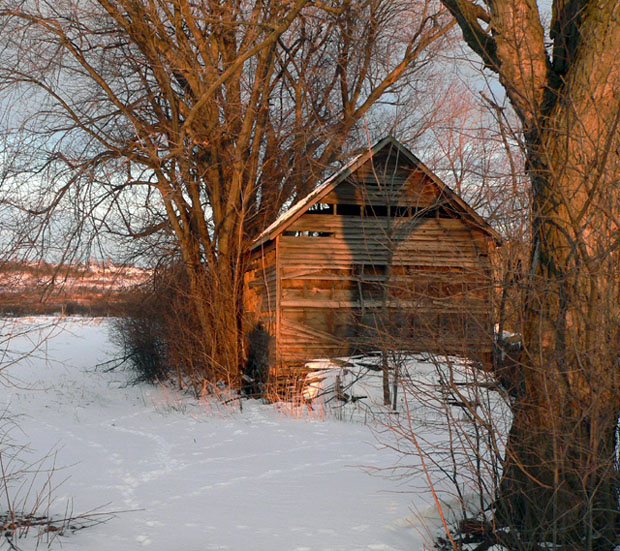 Sunny Barn