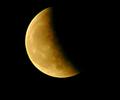 P5154876 (2)_filtered.jpg