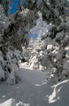 The One Less Travelled By