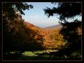 Distant Adirondacks