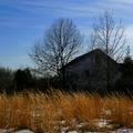 Winter Afternoon