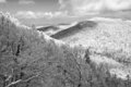 Snowscape