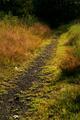 Golden Path