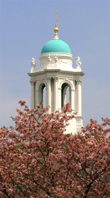 Harvard Spring