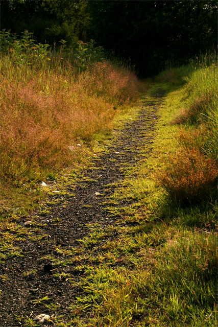 Golden Path