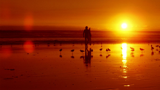 Red Surfer