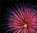 Fiber Optics