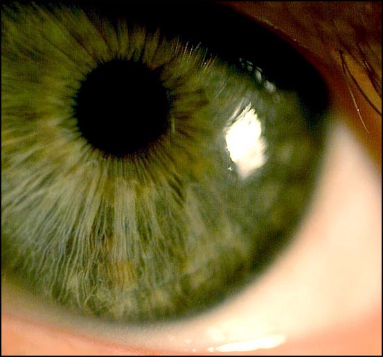 SelfPortrait