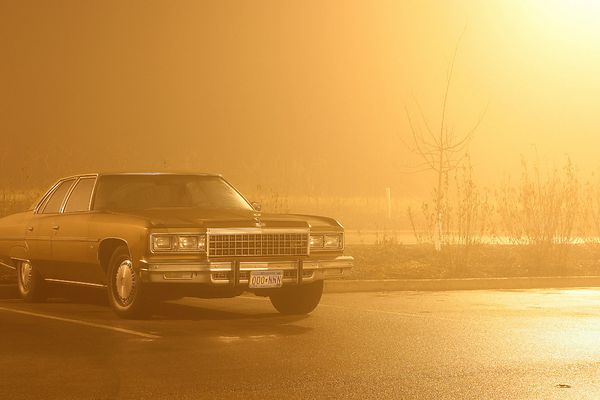 Caprice In Fog