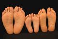 feet.jpg