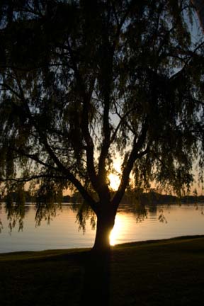 Sunset.jpg