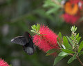 CRW_9219-01.jpg