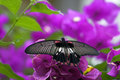 CRW_9262-01.jpg