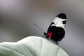 CRW_9288-01.jpg